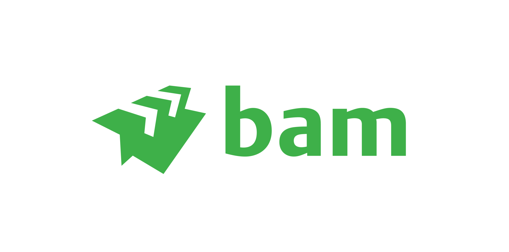 Logo BAM
